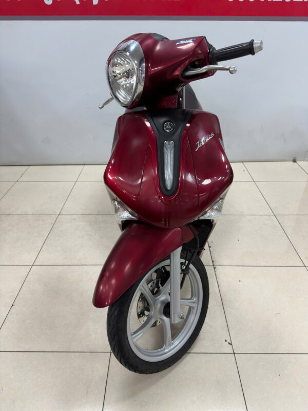 Janus-đỏ đời 2023-2