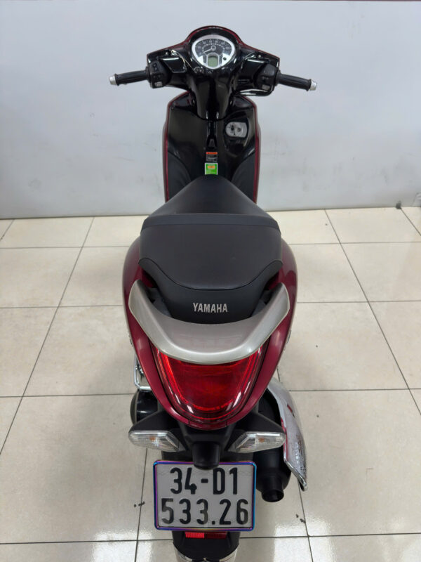 Janus-đỏ đời 2023-4