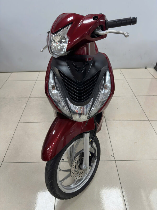Vision-đỏ đời 2021-2